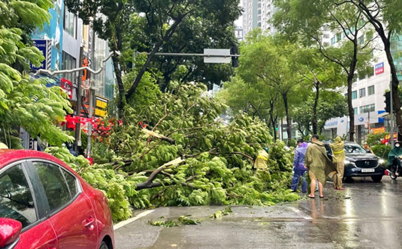 Hanoi requires strict implementation of the response plan to storm No. 11. Photo: Minh Chinh