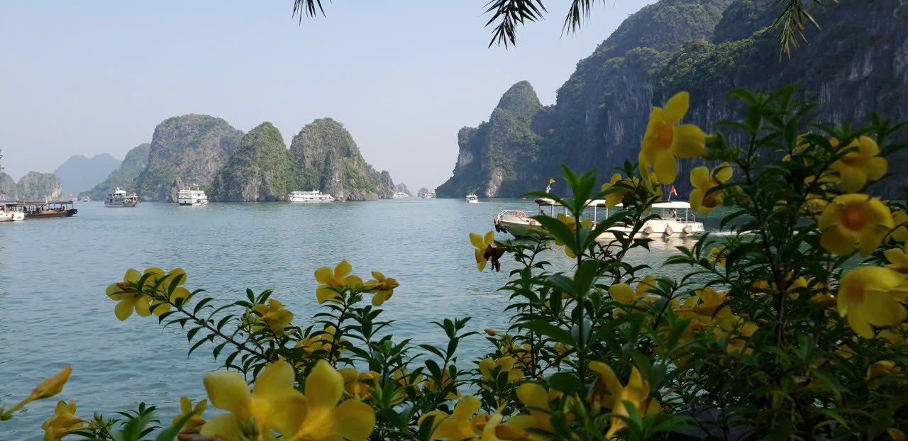 ハロングベイ。写真：Nguyen Hung