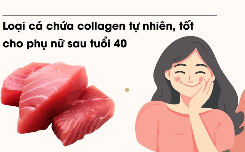 Tuna is a fish that contains a lot of fatty acids, omega 3, collagen, which are very good for women over 40 years old. Graphic photo: Huong Son