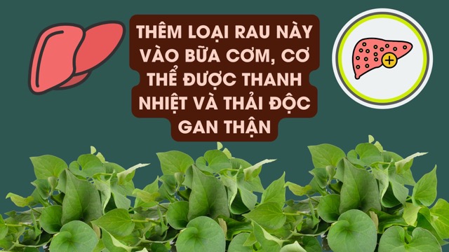 Lettuce helps support effective liver and kidney detoxification. Graphic photo: Huong Son