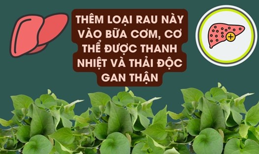 Rau diếp cá giúp hỗ trợ thải độc gan thận hiệu quả. Ảnh đồ hoạ: Hương Sơn