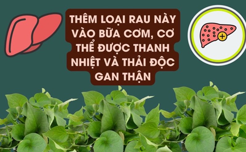 Lettuce helps support effective liver and kidney detoxification. Graphic photo: Huong Son