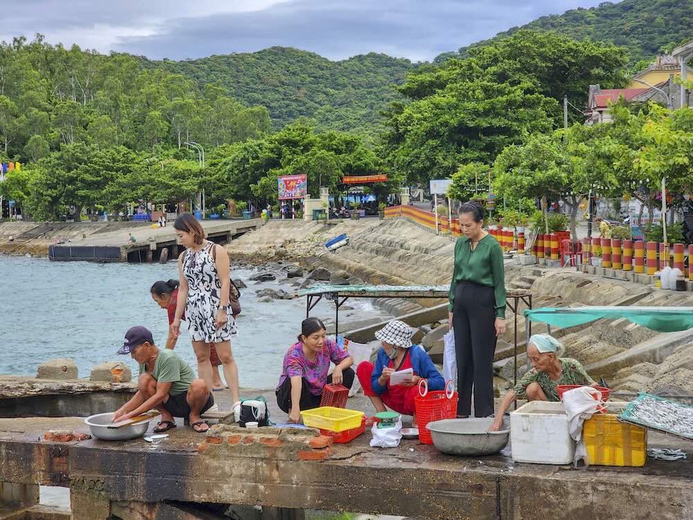 Đến đảo Cù Lao Chàm, du khách còn có thể khám phá chợ Tân Hiệp nằm bên Bãi Làng vào mỗi sáng sớm. Chợ bán các đặc sản rừng, biển và quà lưu niệm. Khách thường mua các hải sản khô về làm quà. Khu chợ này cùng nhiều điểm du lịch trên đảo lâu nay “nói không với túi nilon”.