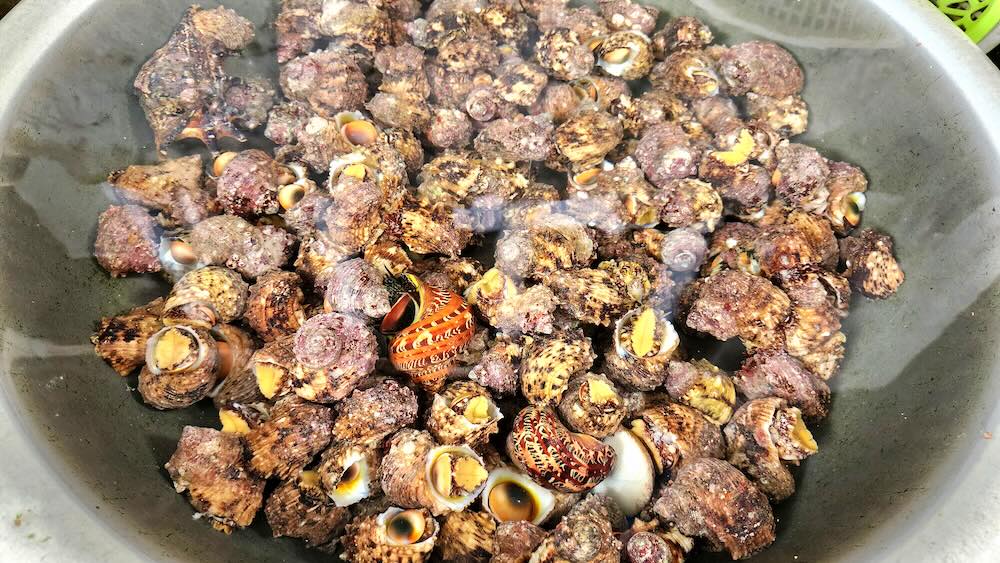Ốc vú nàng, cua đá, sò mai, nhum biển, rau rừng,… là những sản vật đặc trưng của  Cù Lao Chàm.