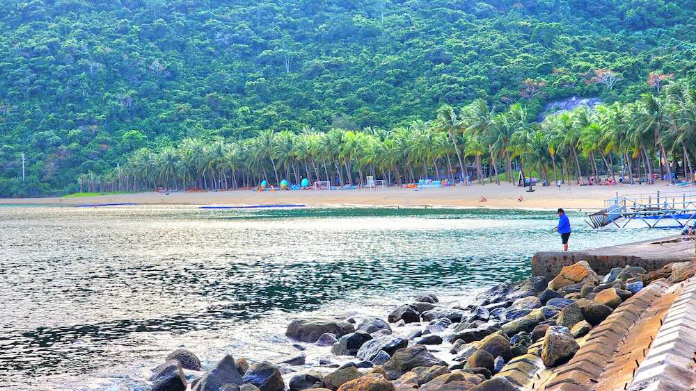 Hệ sinh thái biển Cù Lao Chàm có nhiều loại san hô, thảm cỏ biển, rong biển, bãi cát, vùng triều bờ đá và vùng đáy mềm… là các sinh cảnh quan trọng cho rất nhiều loài thuỷ hải sản cư ngụ, sinh trưởng, sinh sản.
