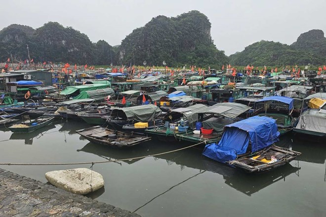 Boats take shelter from the storm at Cai Xa Cong Fishing Port (Ha Tu Ward, Quang Ninh). Photo: Doan Hung