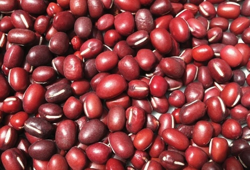 赤豆は、効果的に腎デトックスをサポートできると言われています。写真：Kieu Vu