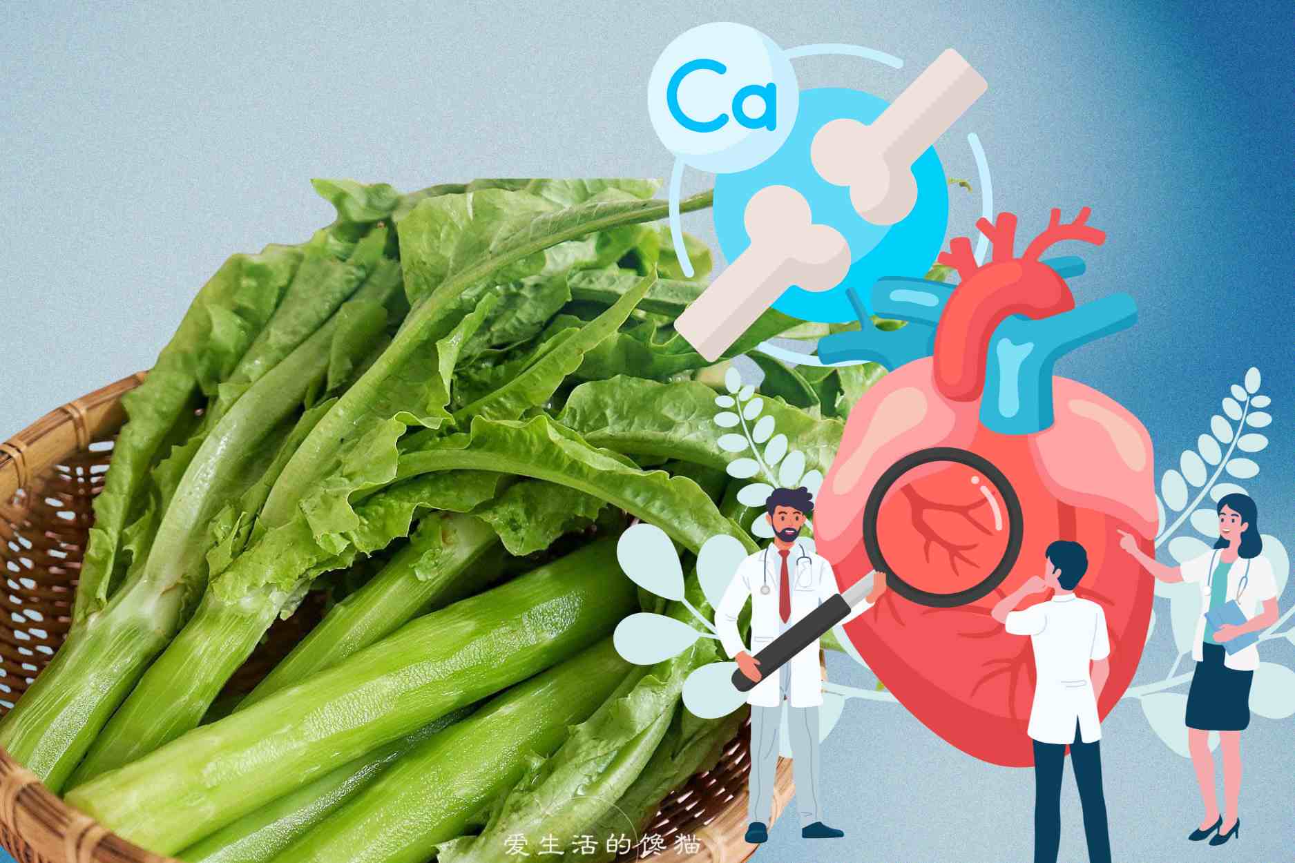 A familiar vegetable but extremely rich in calcium, good for bones, joints and the heart