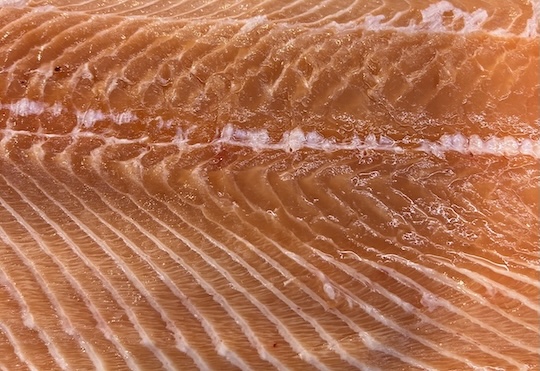 Để có giấc ngủ ngon vào buổi tối, một trong những thực phẩm nên ăn vào bữa trưa là cá hồi. Ảnh: Kiều Vũ