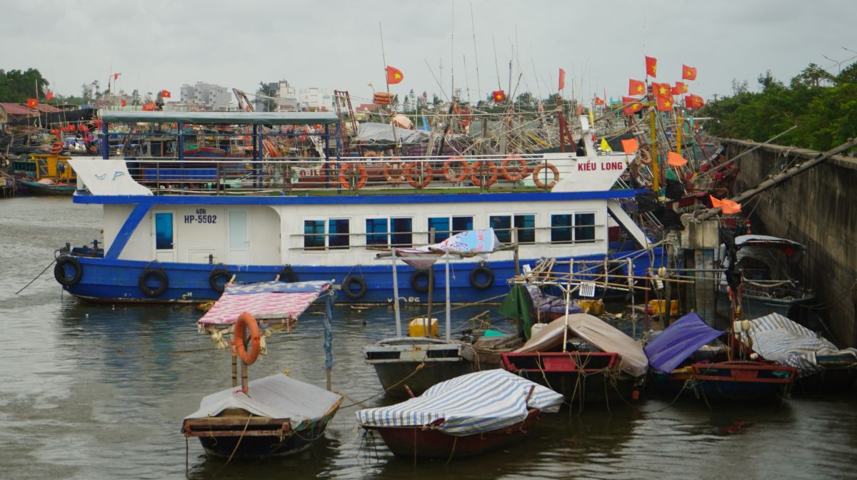 Hai Phong has urgently called on boats to take shelter before storm Socrates 11. Photo: Mai Dung