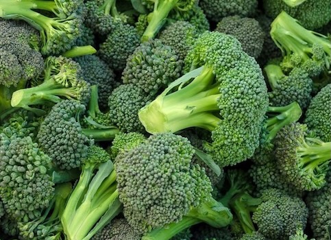 A diet rich in green vegetables is one of the natural and effective ways to detoxify the body. Photo: Kieu Vu