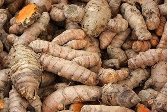 Use turmeric properly to effectively support liver detoxification. Photo: Kieu Vu
