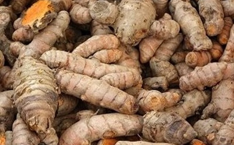 Use turmeric properly to effectively support liver detoxification. Photo: Kieu Vu