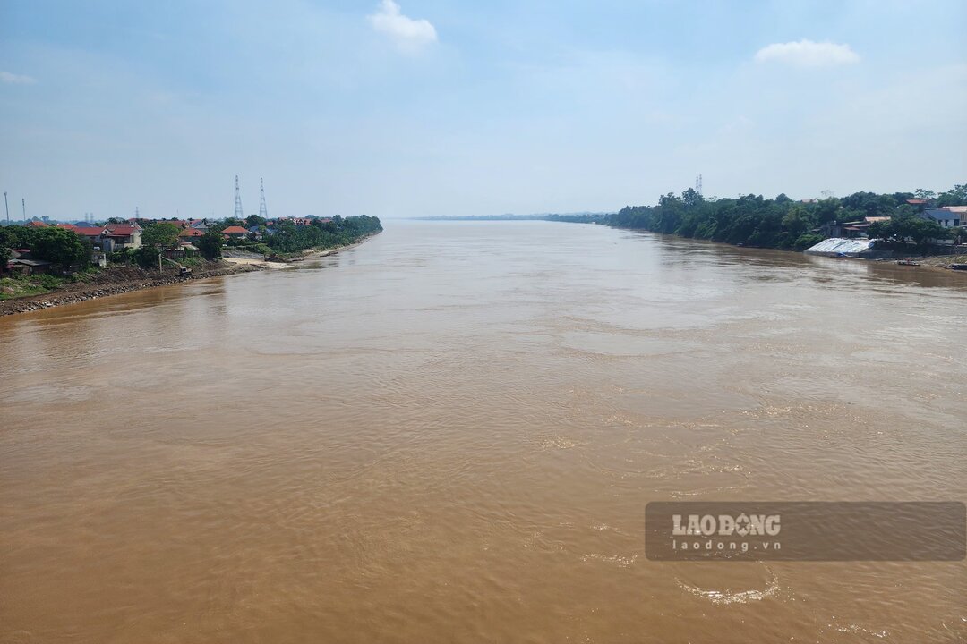 The Red River is still flooded (in the Phong Chau Bridge area, Phu Tho province). Photo: To Cong.