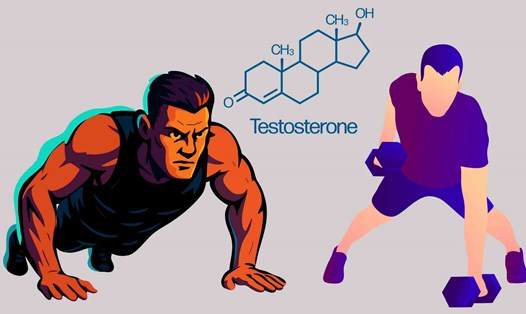 Chống đẩy là một trong những bài tập giúp tăng testosterone. Đồ họa: Hạ Mây