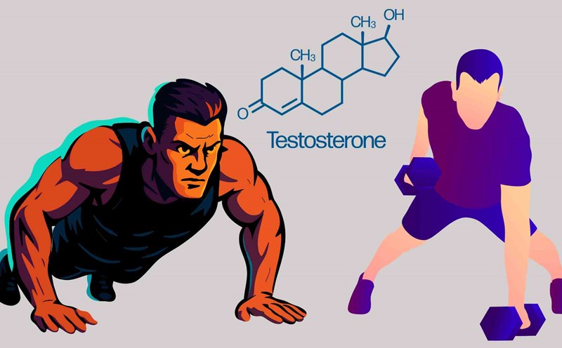 Push-ups are one of the exercises that help increase testosterone. Graphics: Ha May