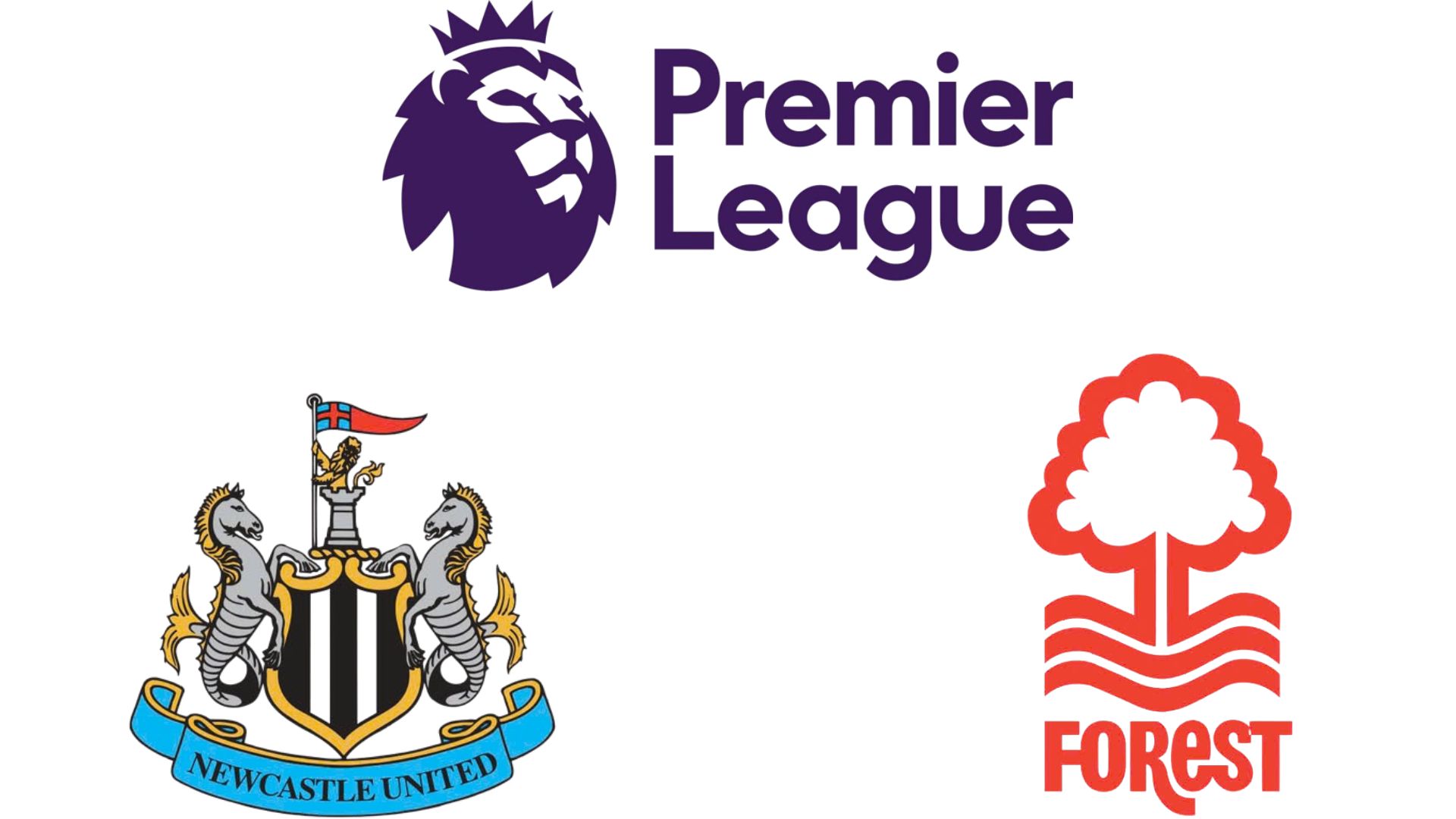 뉴캐슬 프리미어 리그에서 노팅엄 포레스트와 맞붙다. 그래픽: Van An