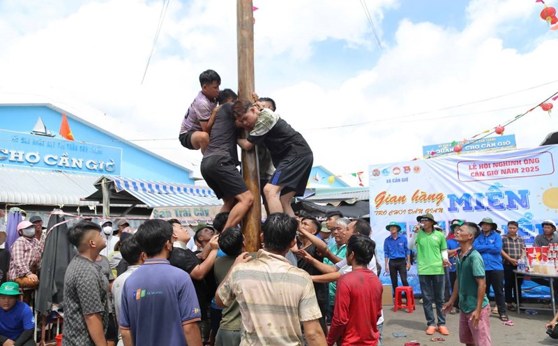 The fat climbing game attracts many participants. Photo: Giang Le