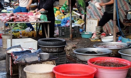 Lo thực phẩm bẩn ở chợ tạm, mẹ chỉ tin siêu thị, công nhân sống nhờ đồ quê. Ảnh: Mỹ Linh