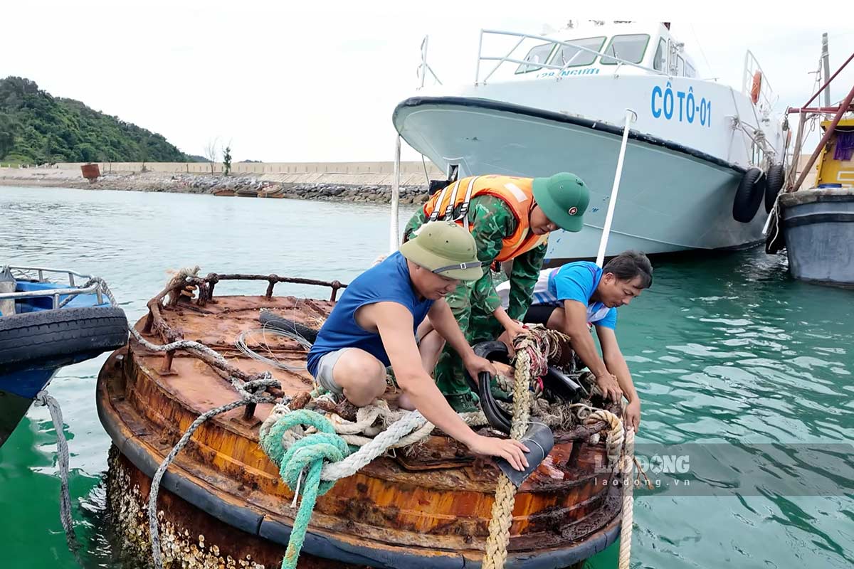 Cac tau thuyen duoc neo dau, chang neo an toan tai khu tranh tru bao. Anh: Thu Bau