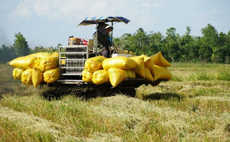 Eliminate at least 30% of unnecessary business conditions in the agricultural and rural sectors. Photo: Yen Phuong