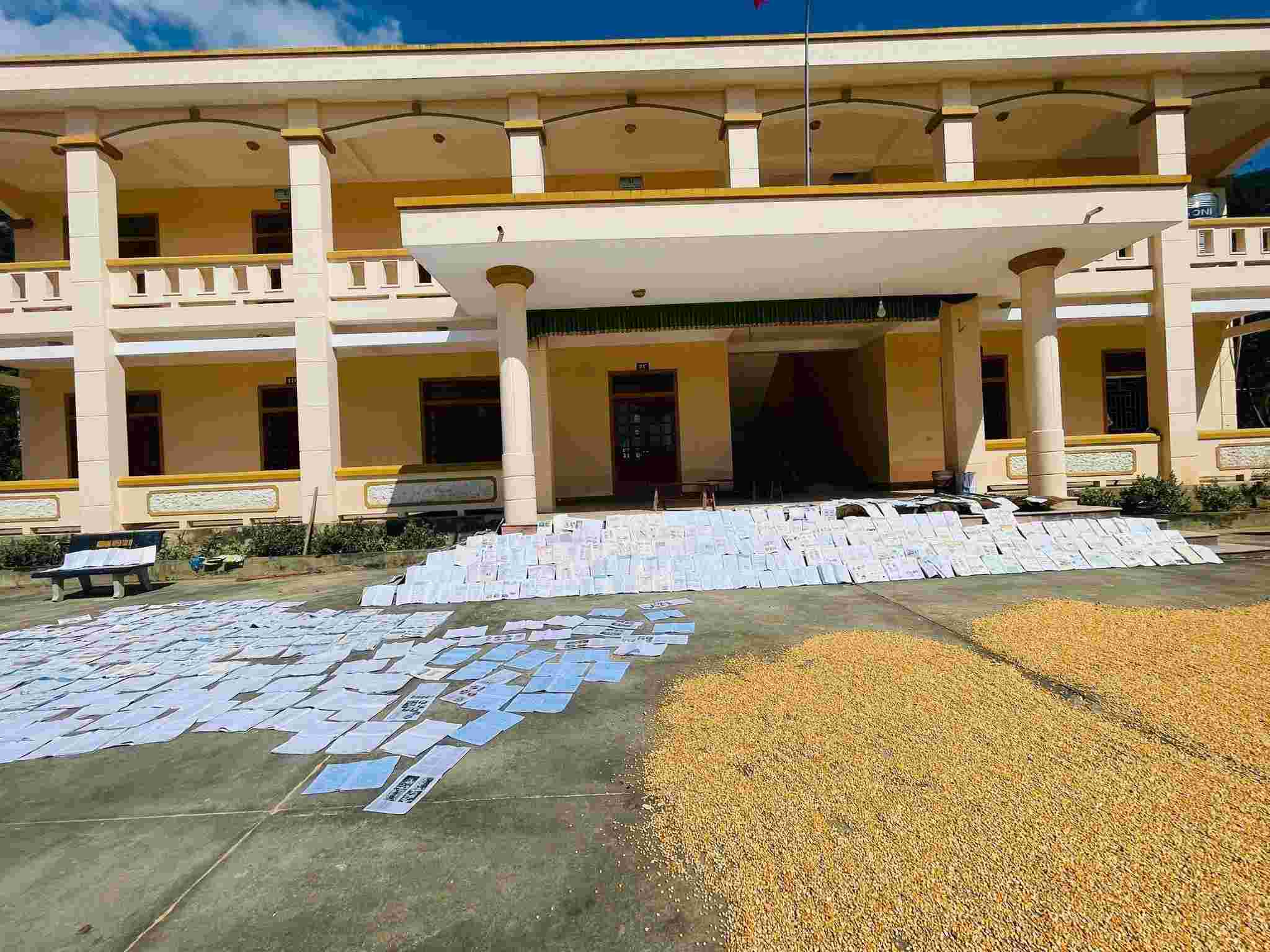 洪水被災地の生徒(タンキー高校)が日差しの下で金の稲穂のそばで本を乾かしている姿は、多くの人々を感動させます。写真:Ngoc Anh