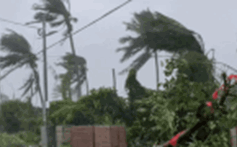 Typhoon Matmo made landfall in southern China. Photo: Xinhua