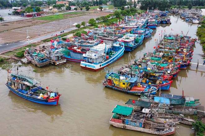 Tỉnh Ninh Bình đã hoàn thành việc kêu gọi tàu thuyền vào nơi trú bão an toàn. Ảnh: Lương Hà