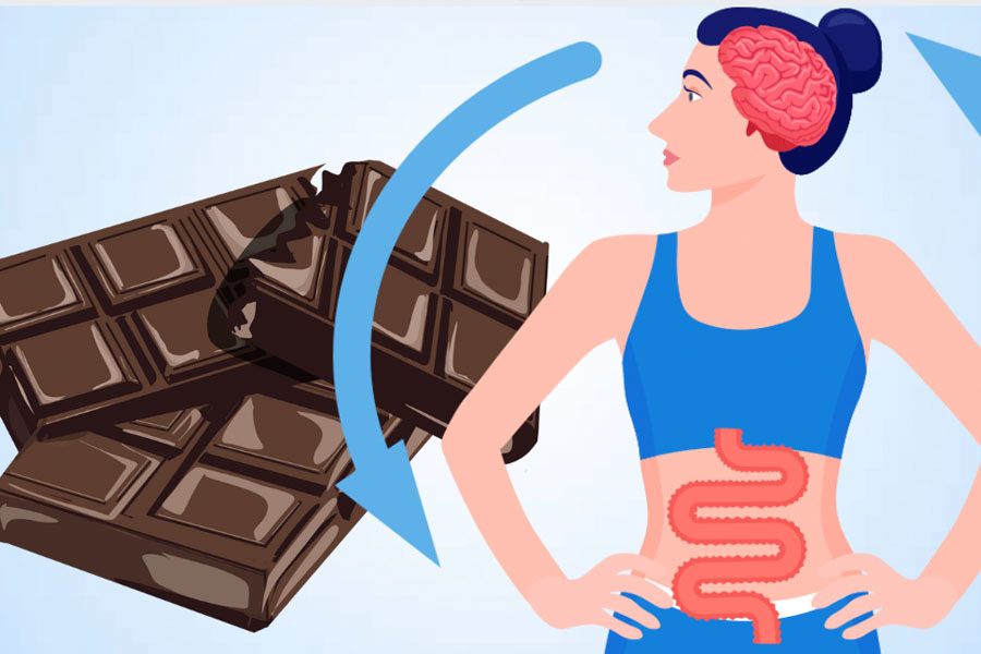 Benefits of dark chocolate for gut and brain health. Graphics: Thien Nhan
