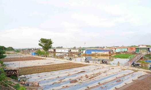 Khu vực neo đậu thuyền trên sông Thái Bình. Ảnh: Quốc Tùng