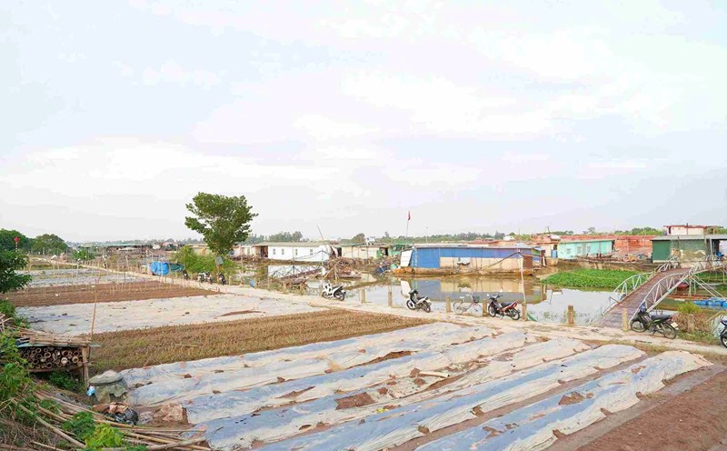 Zona de anclaje de barcos en el rio Thai Binh. Foto: Quoc Tung