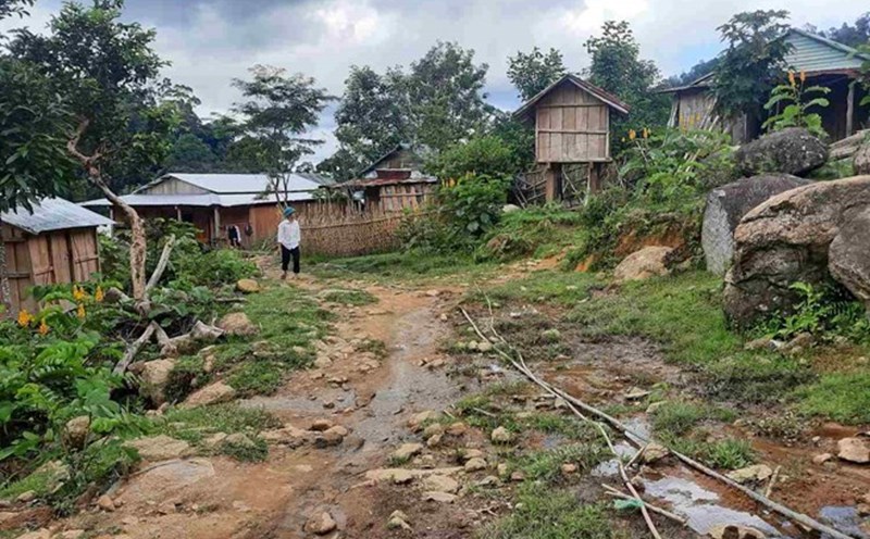 People in many communes in the western area of Quang Ngai clearly felt the shaking caused by the earthquake. Photo: Thanh Tuan