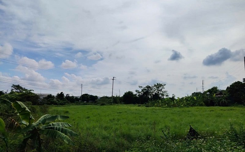 Many people are interested in regulations on agricultural land compensation. Photo: Xuyen Dong