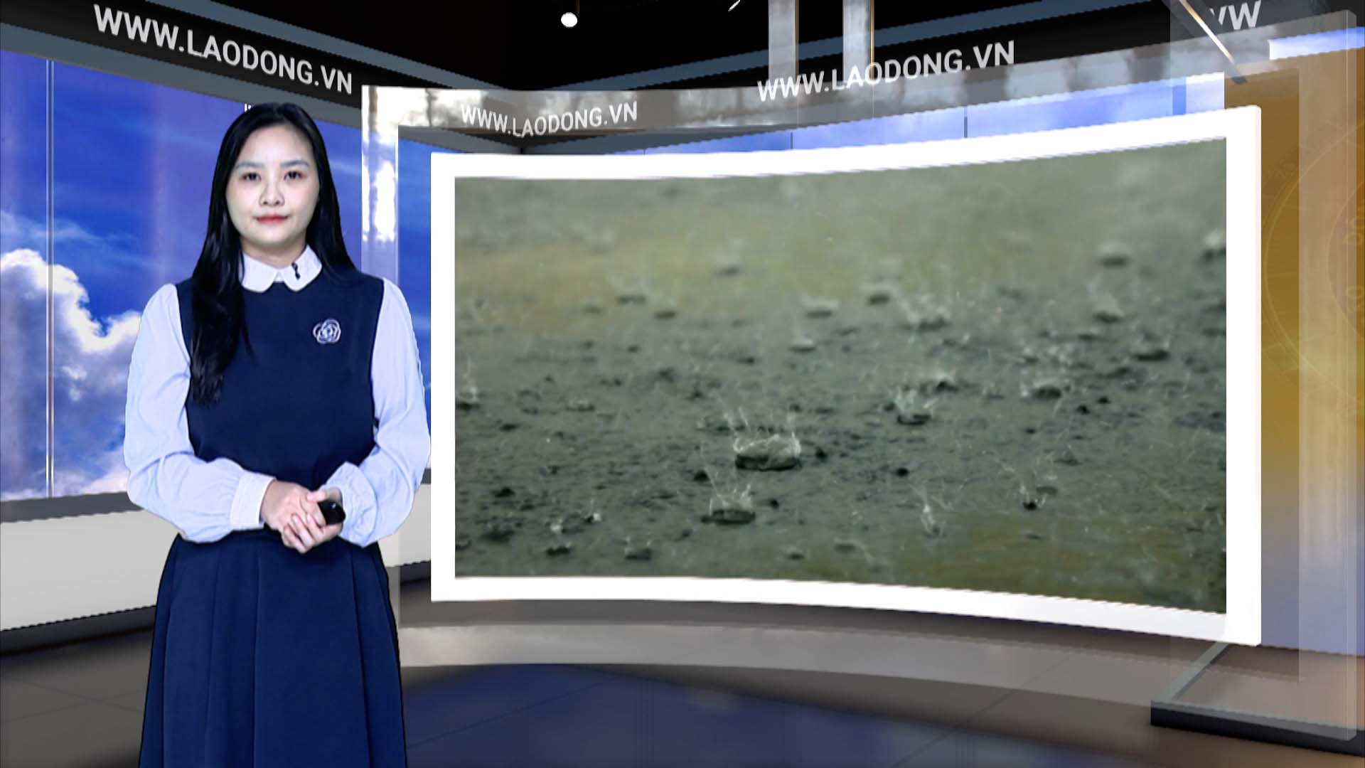 Weather forecast for tonight and tomorrow 7.10