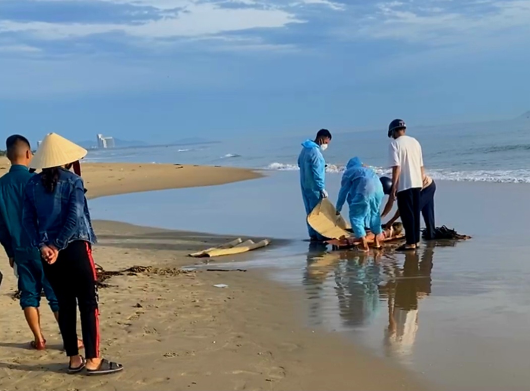 Thi the nu troi dat vao bo bien xa Thang An, Da Nang. Anh: Truong An