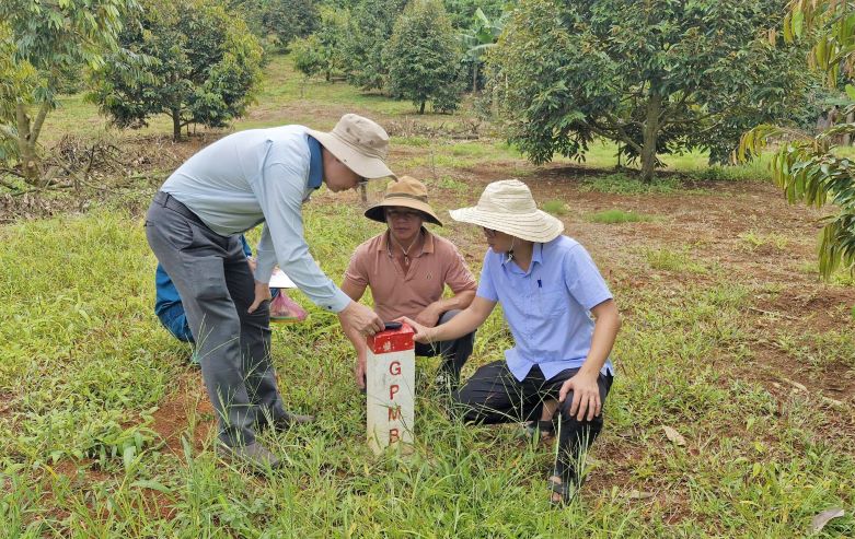 Cac don vi chuyen mon to chuc do dac, lap phuong an boi thuong. Anh: Lam Hong