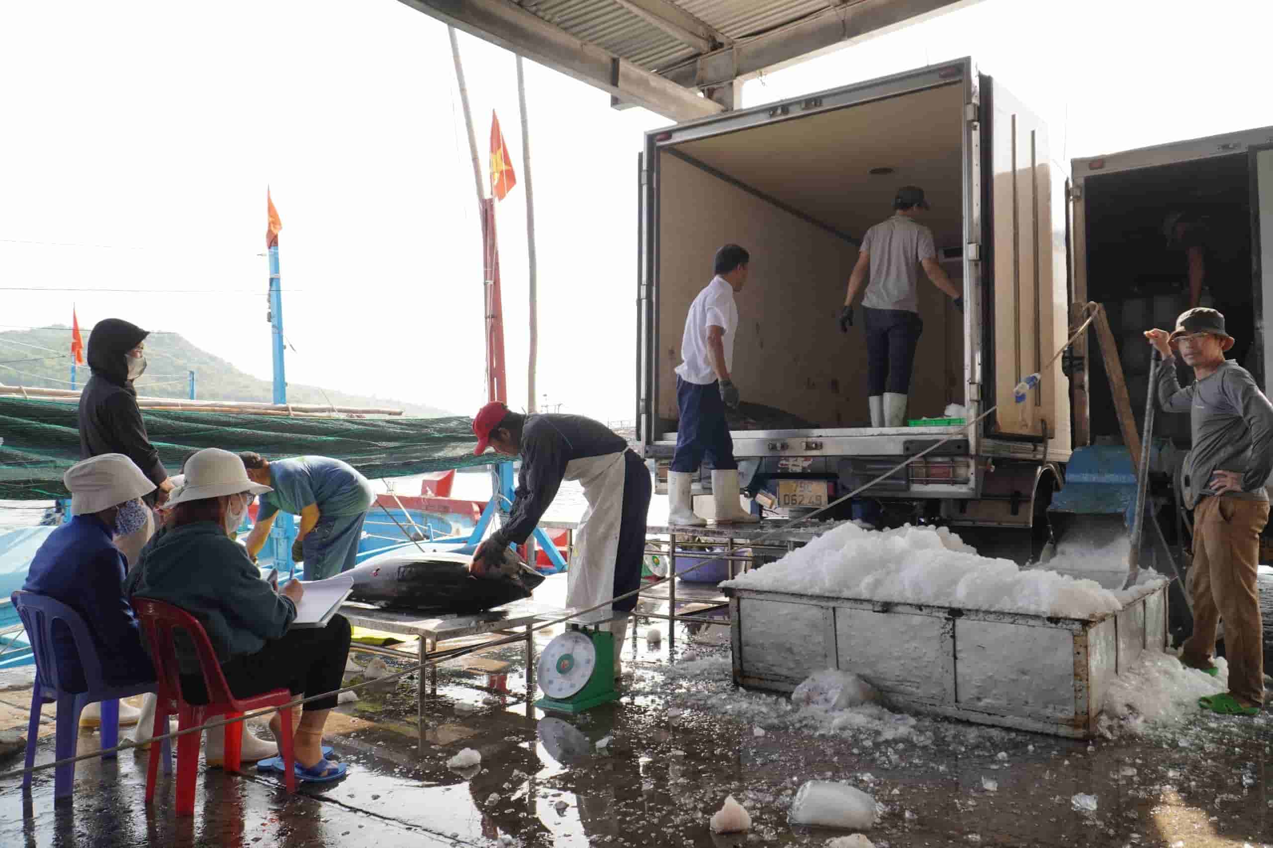 Authorities in Khanh Hoa province will strengthen strict control of fishing vessels crossing the border of the sea. Photo: Huu Long