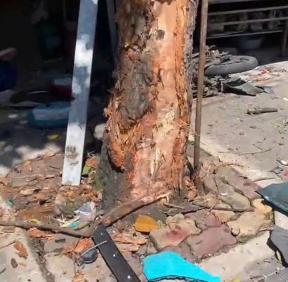 Hien truong vu tai nan. Anh: Ban doc cung cap