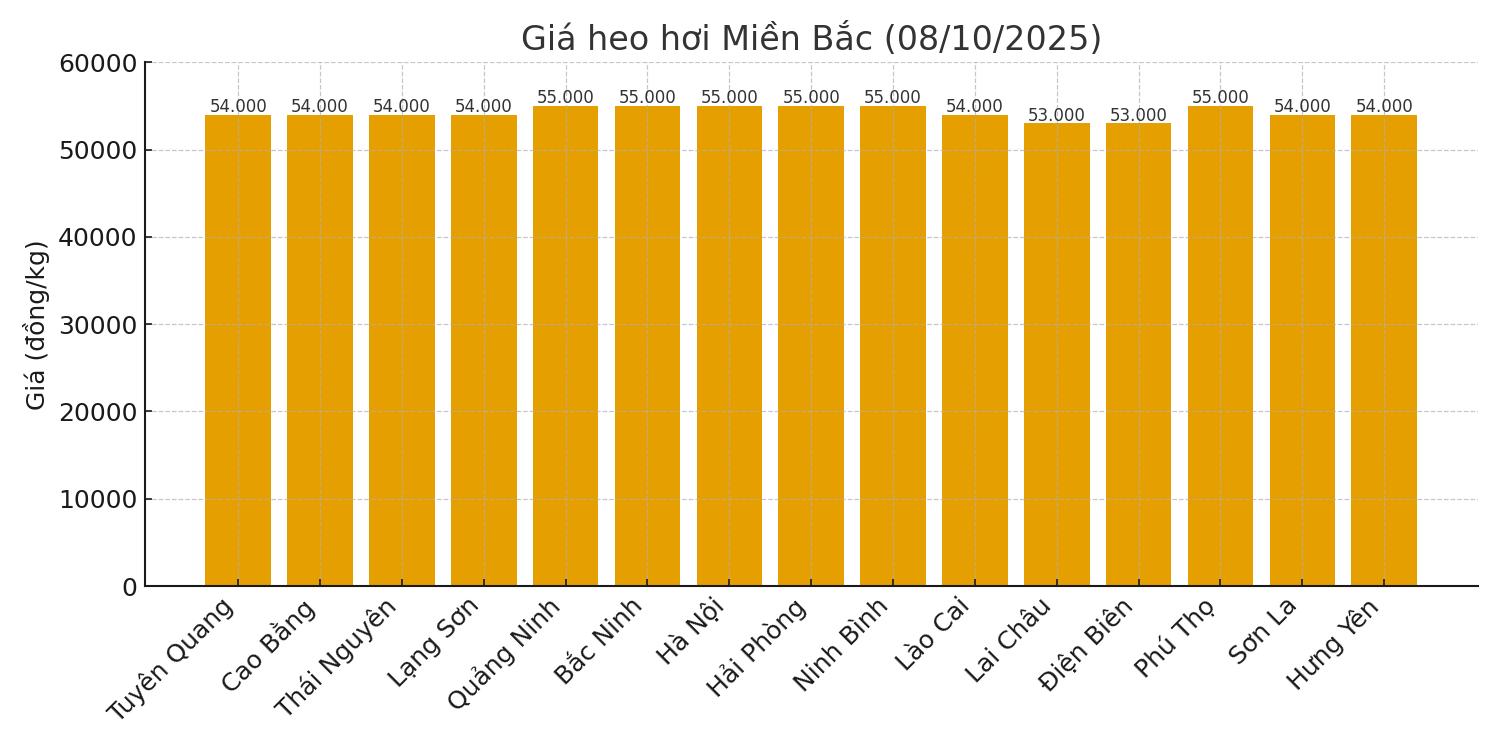 Gia heo hoi hom nay 8.10 o mien Bac. Do hoa: Thuy Linh