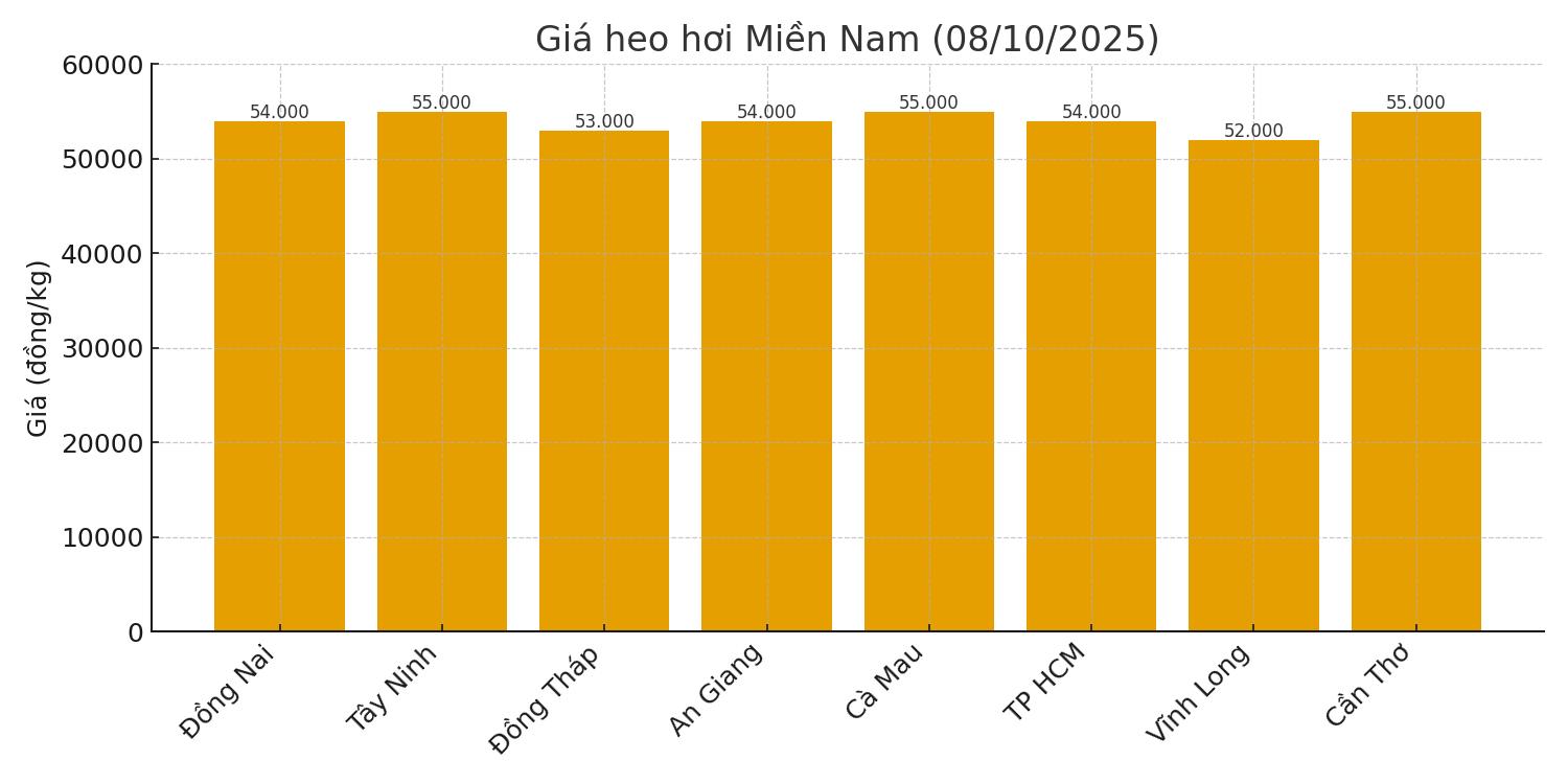 Gia heo hoi hom nay 8.10 o mien Nam. Do hoa: Thuy Linh