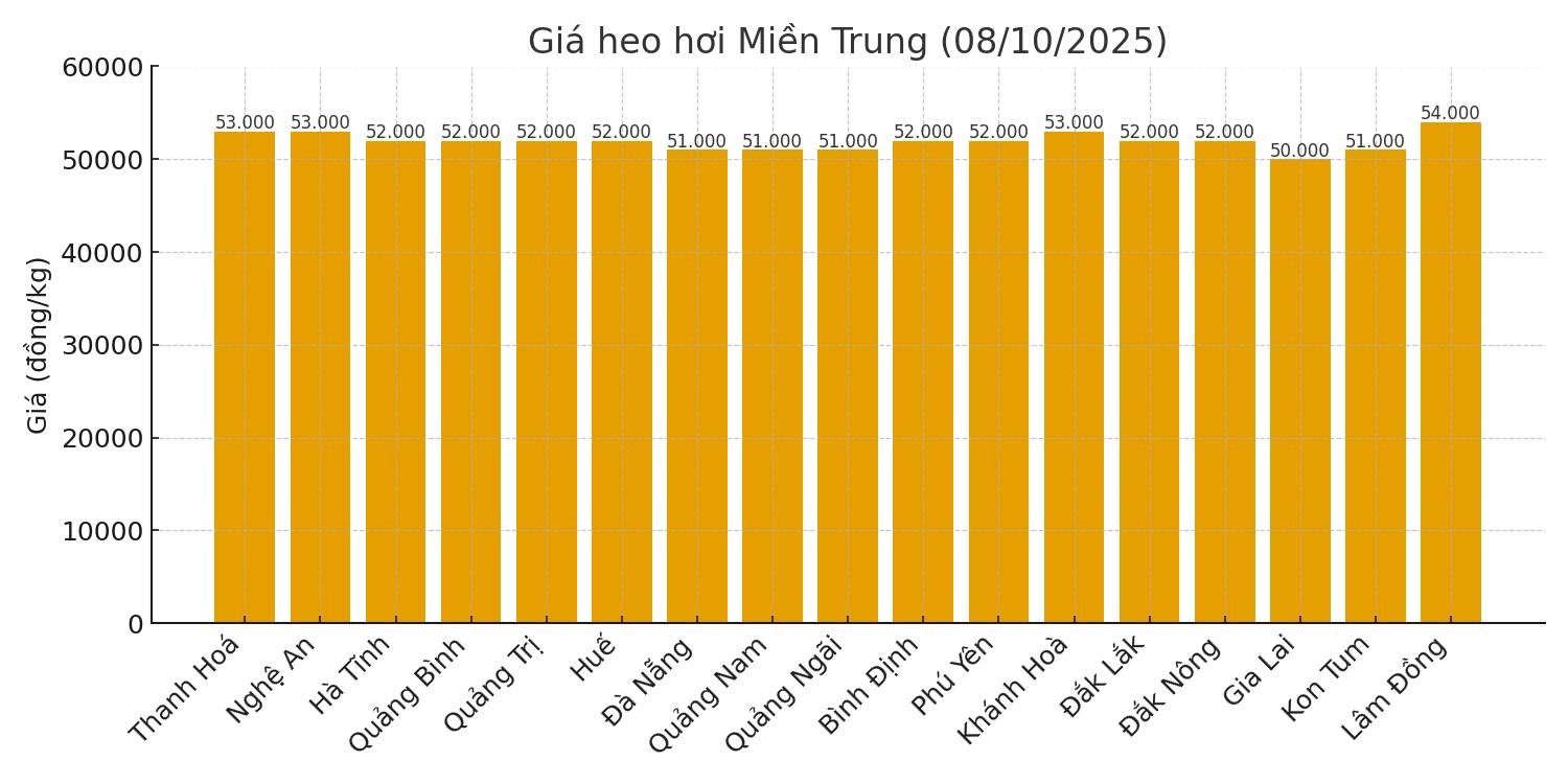 Gia heo hoi hom nay 8.10 o mien Trung. 