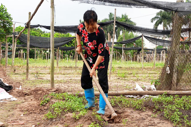Farmers build banks, dig ditches, worry about losing all crops due to consecutive storms