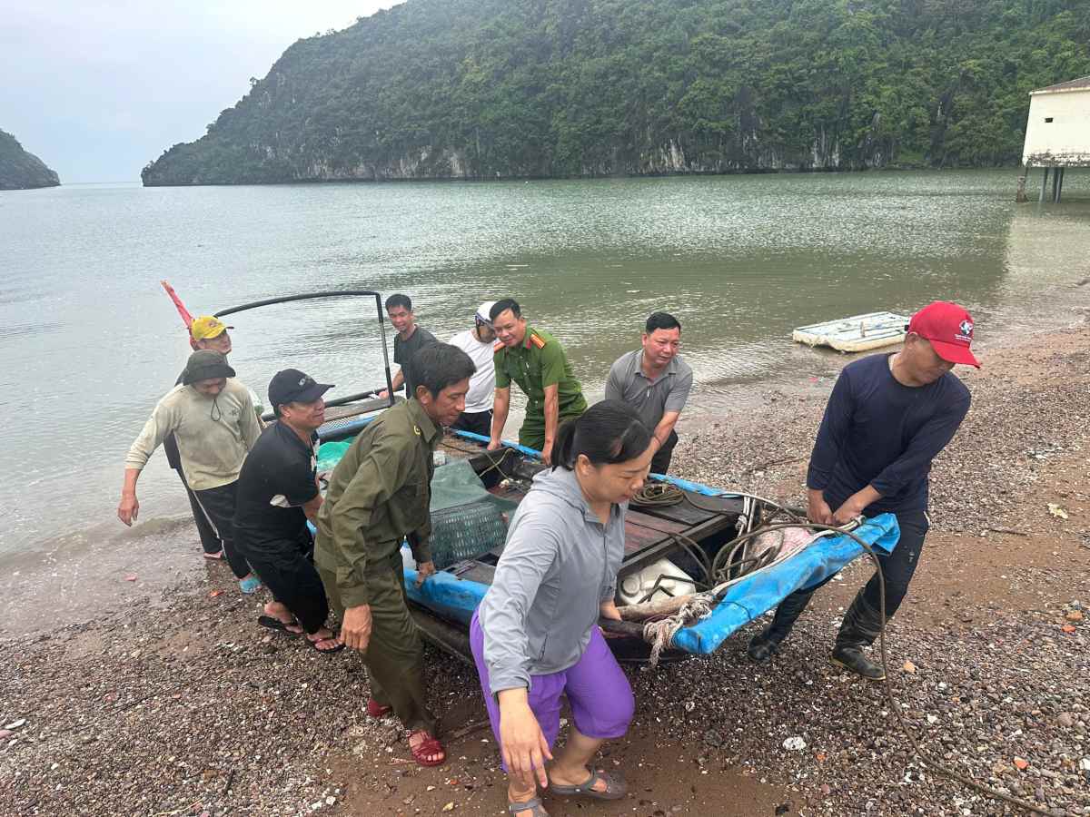 Người dân cần nâng cao cảnh giác với các thủ đoạn lừa đảo liên quan đến khắc phục hậu quả bão Bualoi. Ảnh: Công an thành phố Hải Phòng