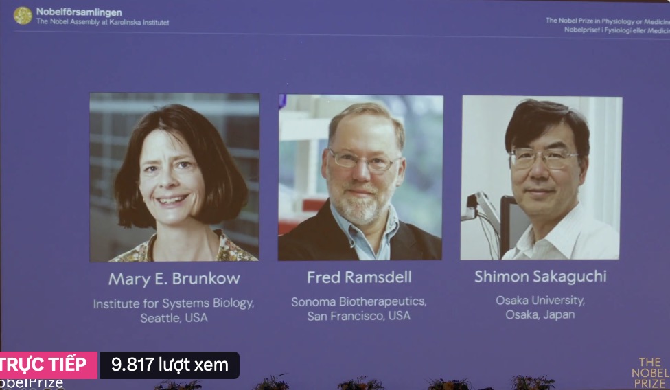 3 scientists won the Nobel Prize in Medicine in 2025. Photo cut from live video Nobel Prize