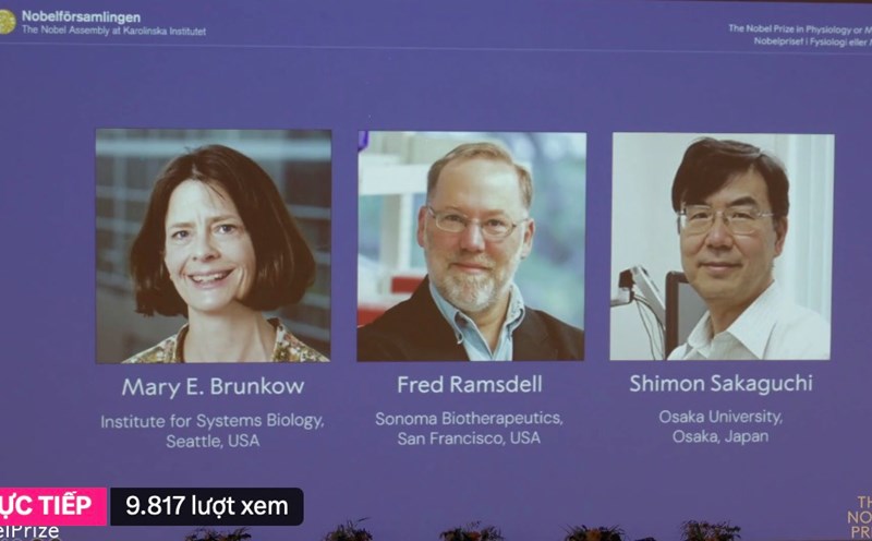 3 scientists won the Nobel Prize in Medicine in 2025. Photo cut from live video Nobel Prize