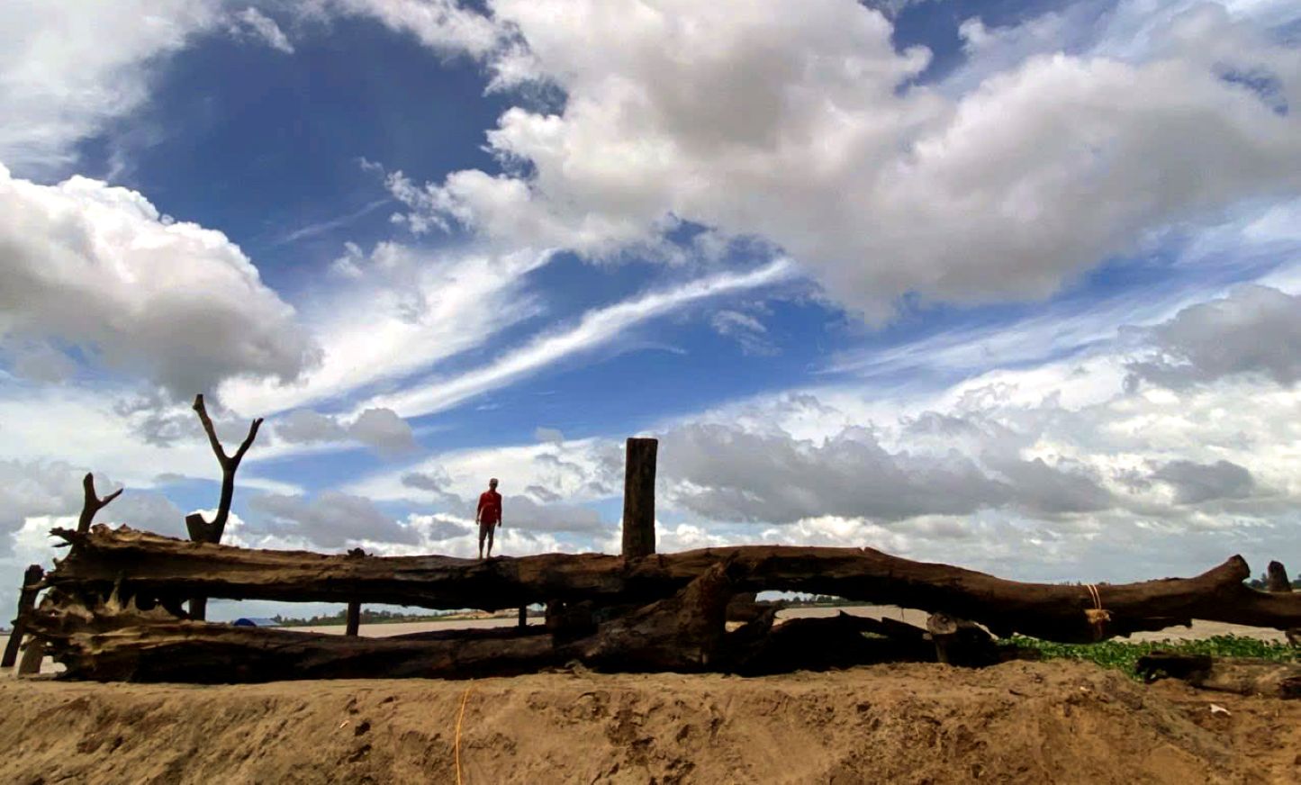 Go o day khong chi khung ve do lon, ma con doc la vi la go lua tram thuy vua rat cung, vua co mau sac tu nhien doc la. Anh: Thanh Mai