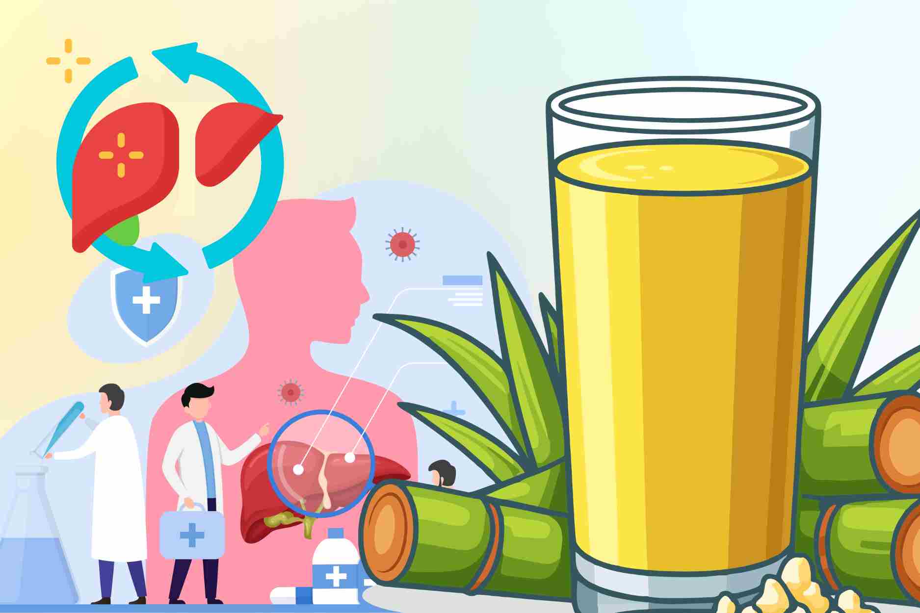 집에서 생강 사탕수수 주스로 효과적인 간 해독