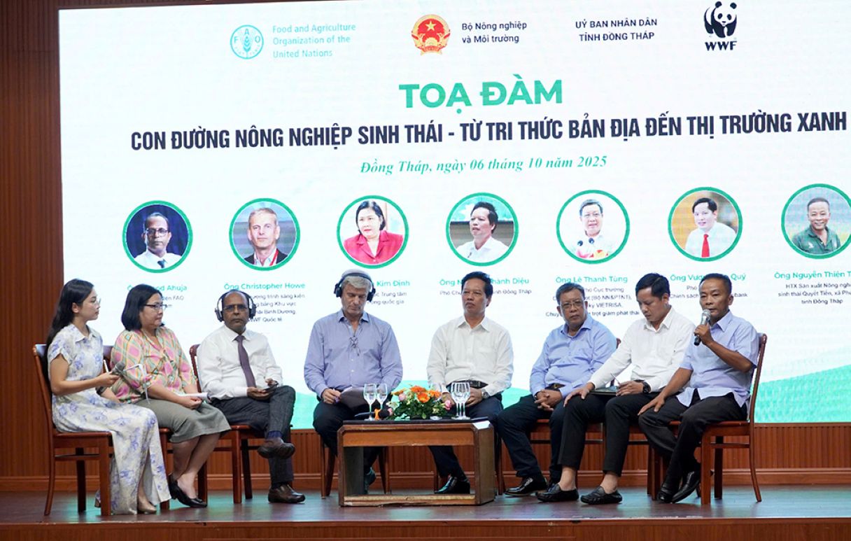 Cac dai bieu toa dam. Anh: Viet Tien