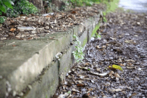 미완성된 도로 공사로 인해 주민들은 계속 기다려도 끝나지 않아 불만을 토로합니다. 사진: Cong Sang