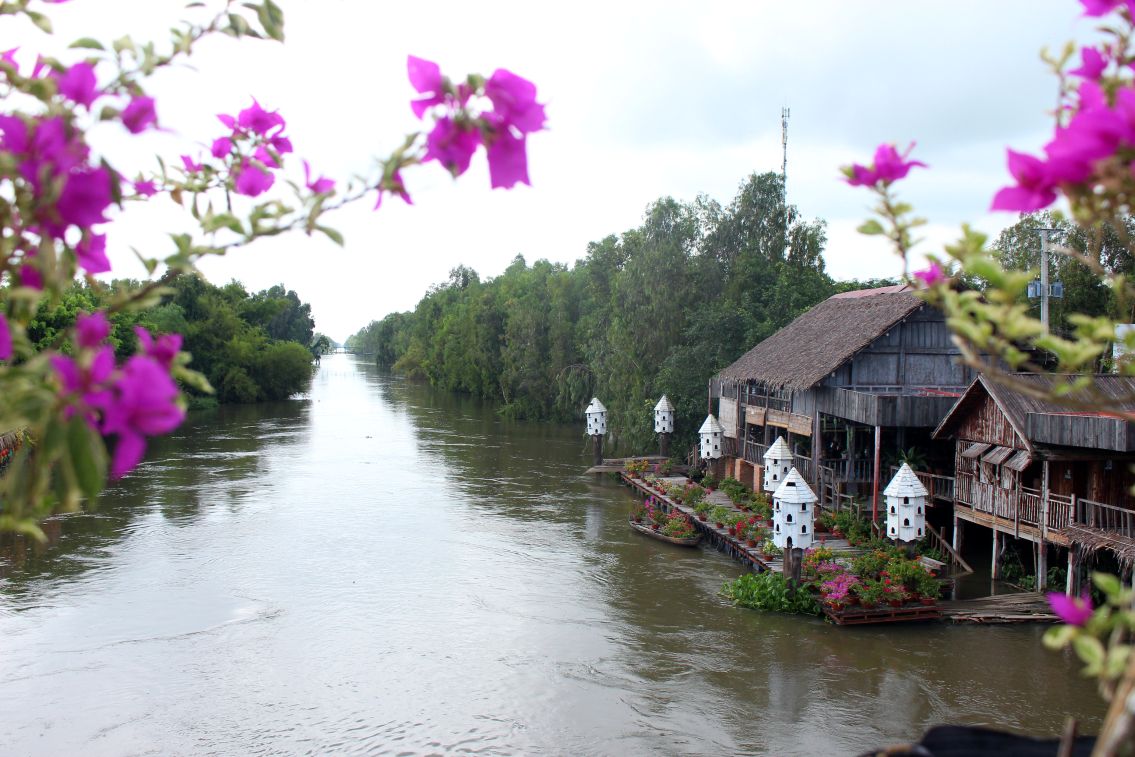 Voi viec giu nguyen duoc khong gian hoang so, Khu du lich sinh thai Rung tram Tra Su duoc chon lam dai canh cho bo phim dien anh Dat rung phuong Nam. Anh: Luc Tung 